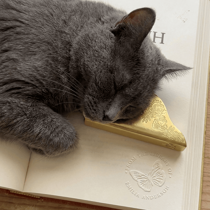 Un gato acurrucado junto a un libro con un sello seco dorado